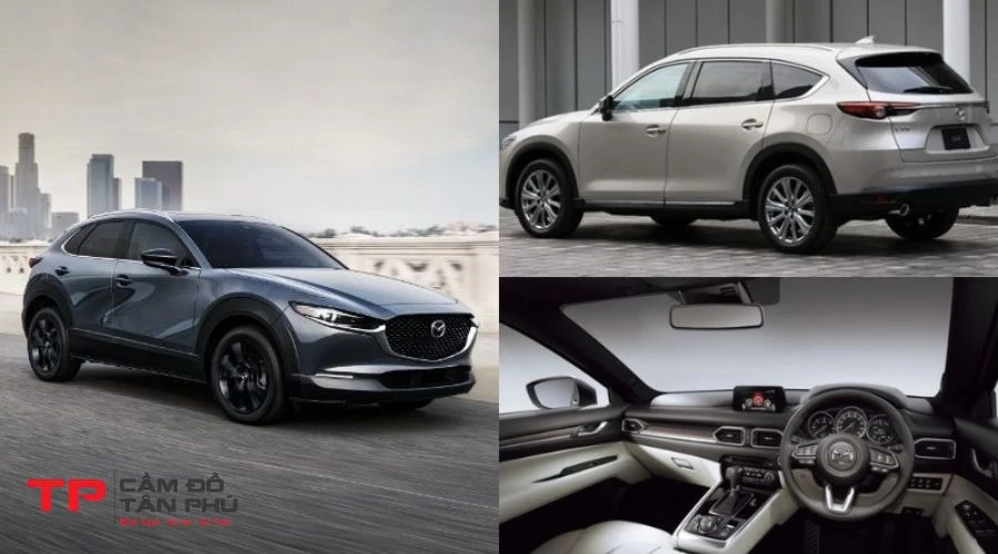 Là dòng xe crossover SUV được phân phối bởi Mazda CX-8, với thiết kế hiện đại và đậm chất thể thao.